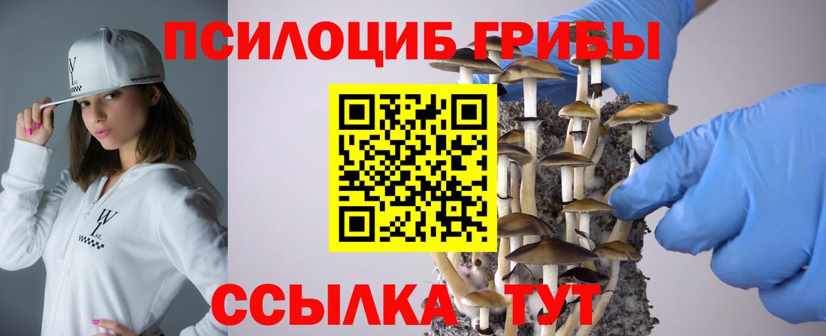 Йошкар-Ола  Псилоцибиновые грибы прущие грибы  цена   Вход с VPN 
