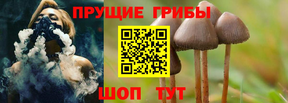 Галлюциногенные грибы мухоморы Йошкар-Ола